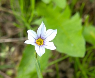 0523[LVE.JPG