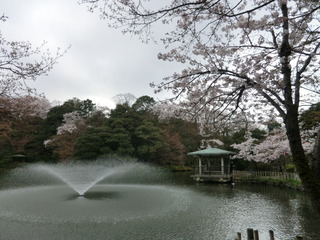 20170412-02.JPG