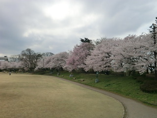 20170412-03.JPG