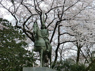 20170412-04.JPG