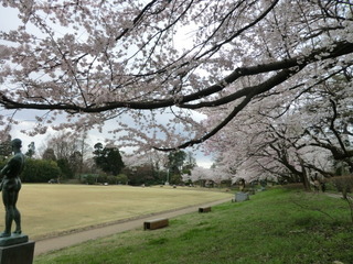 20170412-09.JPG