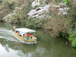 20170412-10.JPG