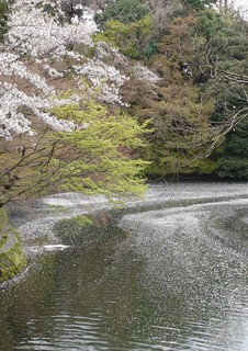20250413_133353852 (002).JPG