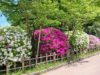20250505_120629.jpg