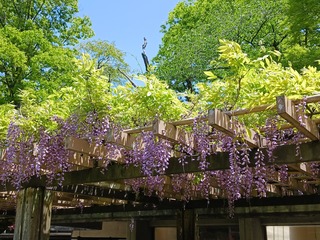 20250505_120856.jpg