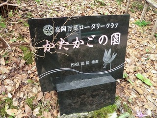 CIMG5959.jpg