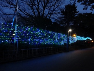 DSC02187 (1024x768).jpg