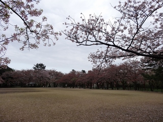 DSC02401 (1024x768).jpg
