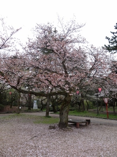 DSC02404 (1024x768).jpg