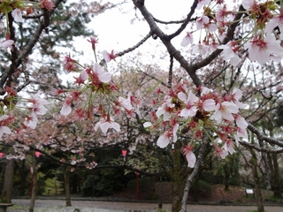 DSC02406 (1024x768).jpg