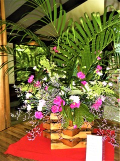 DSCF0361.jpg