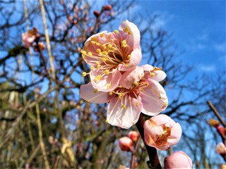 DSCF2758.JPG