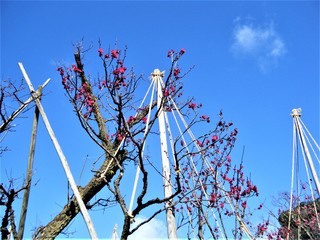 DSCF2848.JPG