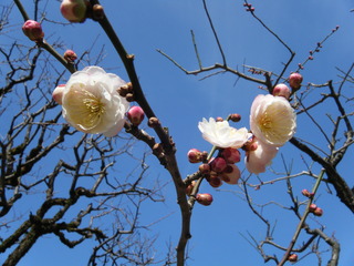 DSCF2990.JPG