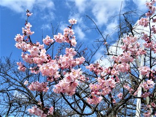 DSCF3050.JPG