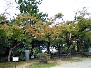 DSCF3577.JPG