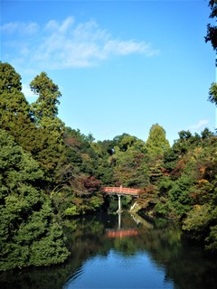 DSCF3614.JPG