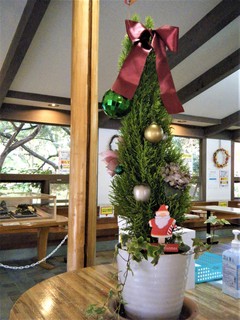 DSCF3703.JPG