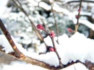 DSCF3805.JPG