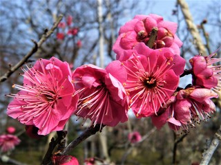 DSCF4112.JPG