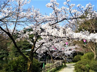 DSCF4581.JPG