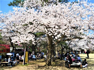DSCF4645.JPG