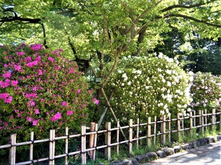 DSCF4741.JPG