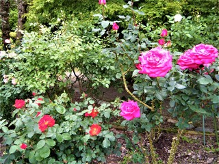 DSCF4794.JPG