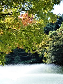 DSCF5128.JPG