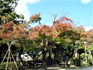 DSCF5136.JPG