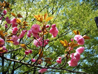 DSCF6054 - Rs[.JPG