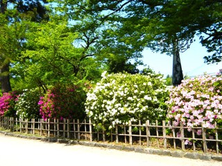 DSCF6063 - Rs[.JPG