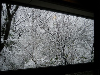 DSCF6240.jpg