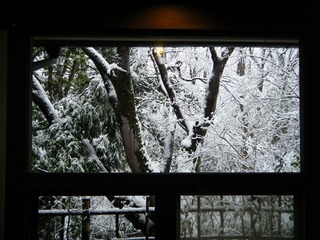 DSCF6242.jpg