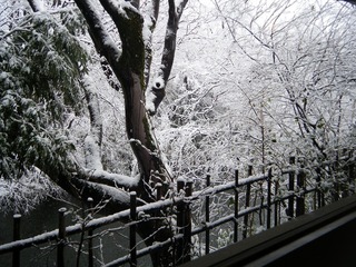 DSCF6252.jpg