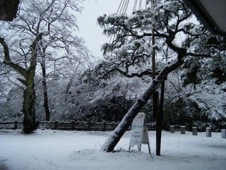 DSCF6253.jpg