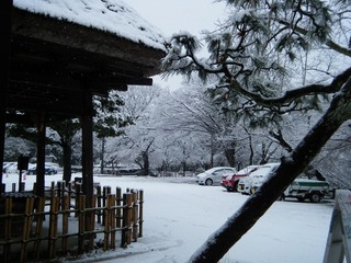 DSCF6254.jpg