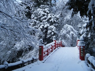 DSCF6265.jpg