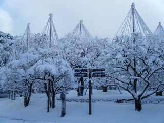 DSCF6268.jpg
