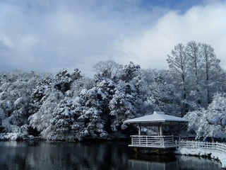 DSCF6270.jpg