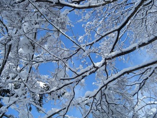 DSCF6271.jpg