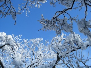 DSCF6272.jpg