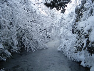 DSCF6273.jpg