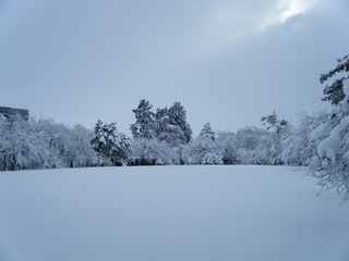 DSCF6277.jpg