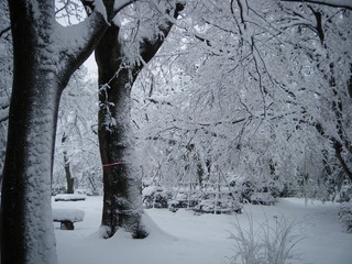 DSCF6281.jpg