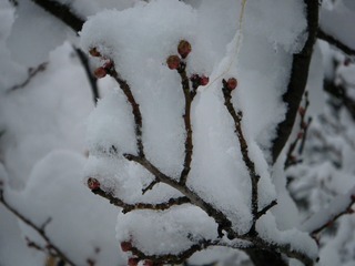 DSCF6283.jpg