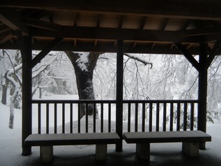 DSCF6287.jpg