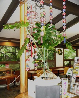 DSCF6391 - Rs[.JPG