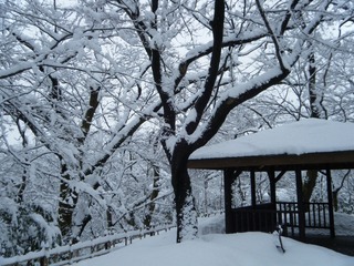 DSCF6626.jpg