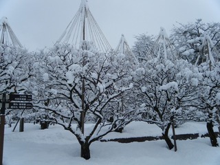 DSCF6633.jpg